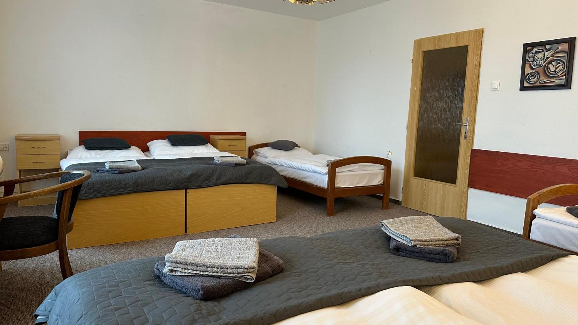 Hotel Pod Vlekem Loučná pod Klínovcem Eksteriør billede